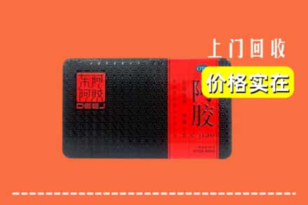 海北州门源回收阿胶