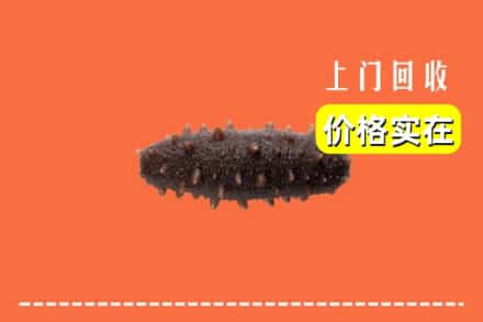 海北州门源回收海参