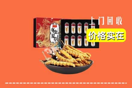 海北州门源回收虫草