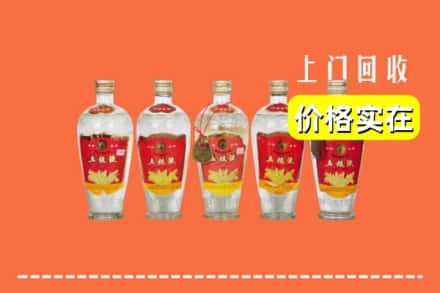 海北州门源回收老五粮液